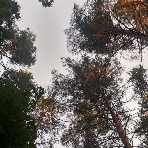  _ 115 бпм