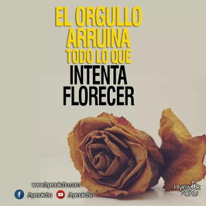 humildad ante todo
