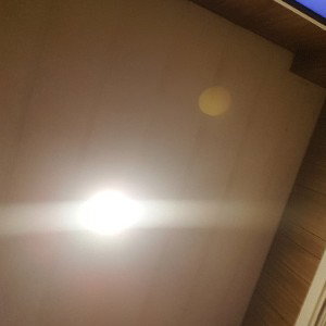 THE LIGHT