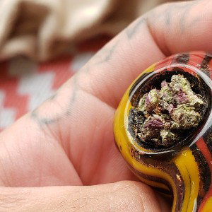 THC_Free_Style