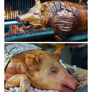 (PORCO DO CHiQUEIRO)