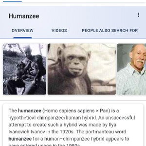 Social Pandemic is Ageless