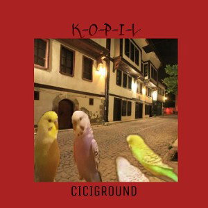 CICIGROUND