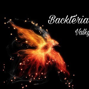 KILL the BACKtéria