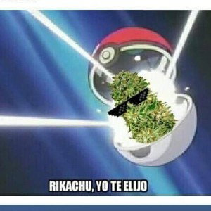 Para actualizarme !