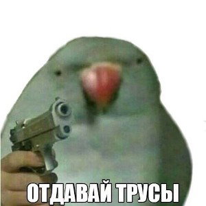 топ трэк