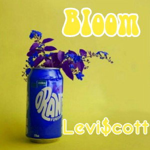 Bloom 