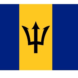 🇧🇧 Bajan 🇧🇧🗣️🇧🇧 Wine 🇧🇧 (freestyle) by dappa not'tah rappah