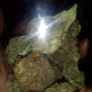 fumando weed
