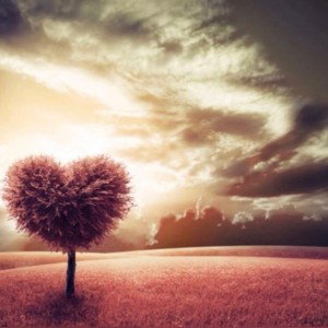 NAWER & Anakin - Love 