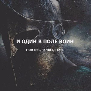 мистер фан