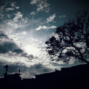 Ambient 