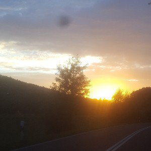 Jetzt
