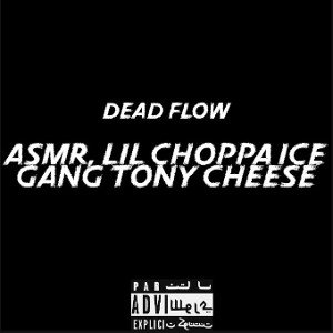 Tony Chee$e & ASMR feat Ice Gang & Lil Choppa-Dead Flow
