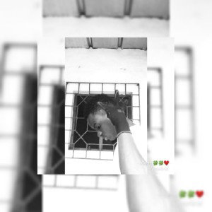 freestyle_4x