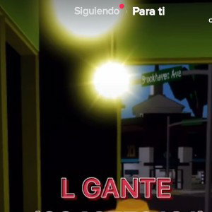 10 Seguidores 