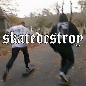 SKATEDESTROY