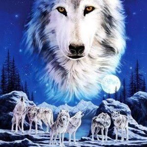 Free/Letra - WolfPack