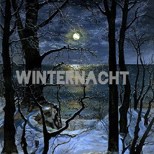 Reimakrobat-Winternacht