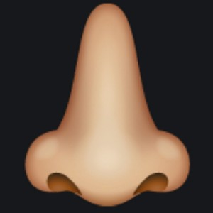 Camou Front