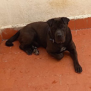 LA CAJA 