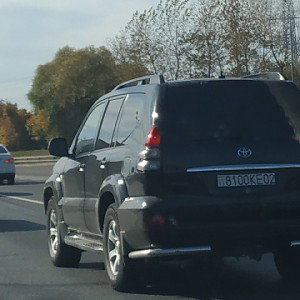 эй бронзовая ламба