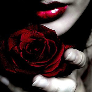 Bela Rosa..