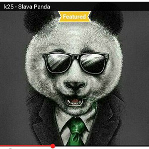 k25 - Слава Панда