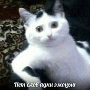 ЭТО ПИЗДОС