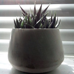 echo