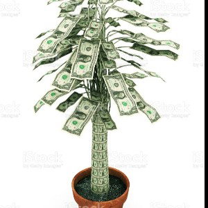 Money 🎄
