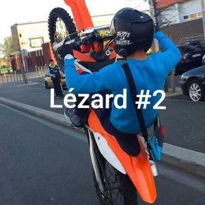 Lézard #2