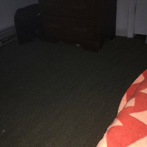 Sleep