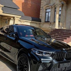 Чёрная пантера в чёрном панамера