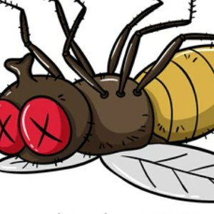 bugging pain