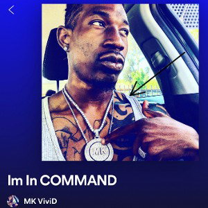 IN COMMAND MK Vivid X L.A. Bandit