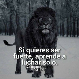 la vida es la realidad 