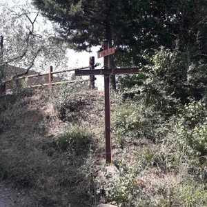 L'amore chi ce l'ha?