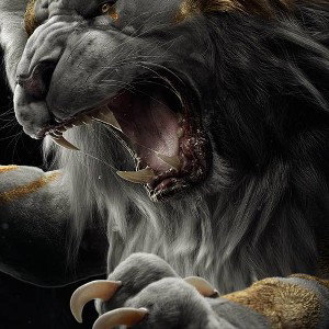 león un casados