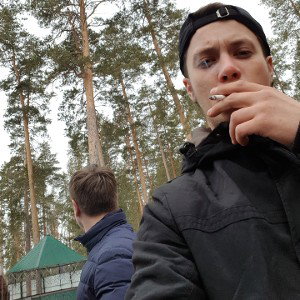утро чаиок