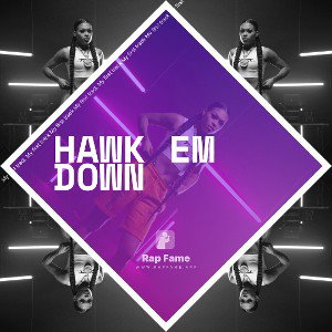 Hawk Em Down