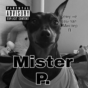 Trap&Boy- Mister P.