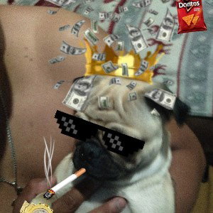 mucica echa por mi