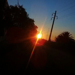 Tranquilo Freestyle domingo de sol