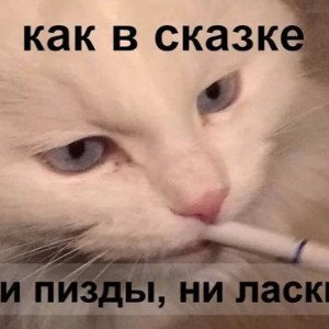 я сука дикий