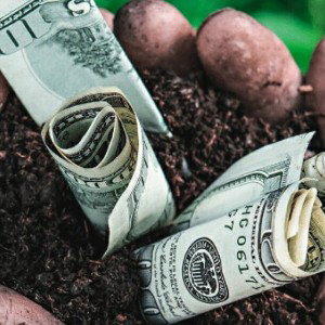 dirty money fast