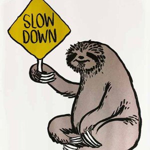 Slow down 