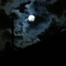 Noche Oscura✨.
