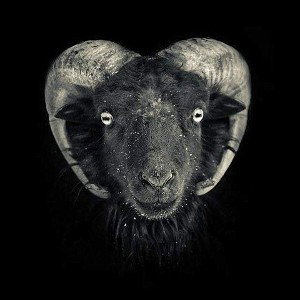 Goat - Grand Melodic 