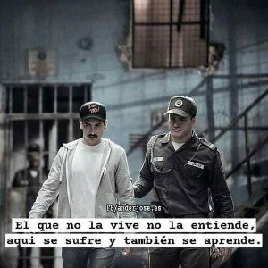 estilo de vida 